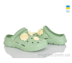 Кроксы Golden Lion